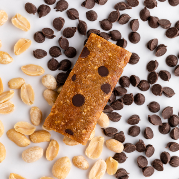 GoMacro protein bar surrounded by chocolate chips and nuts