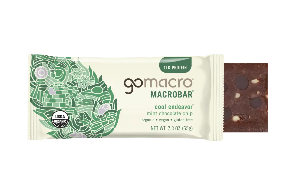 GoMacro Mint Chocolate Chip bar