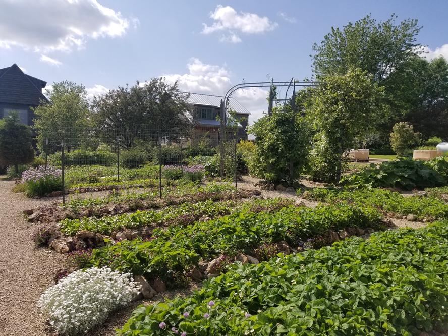 Vegetable garden