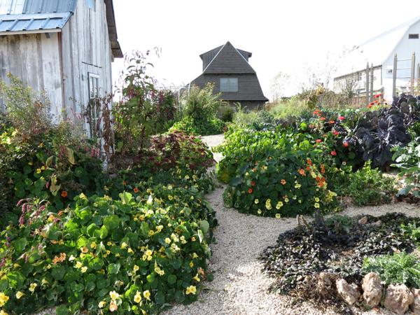 Vegetable garden