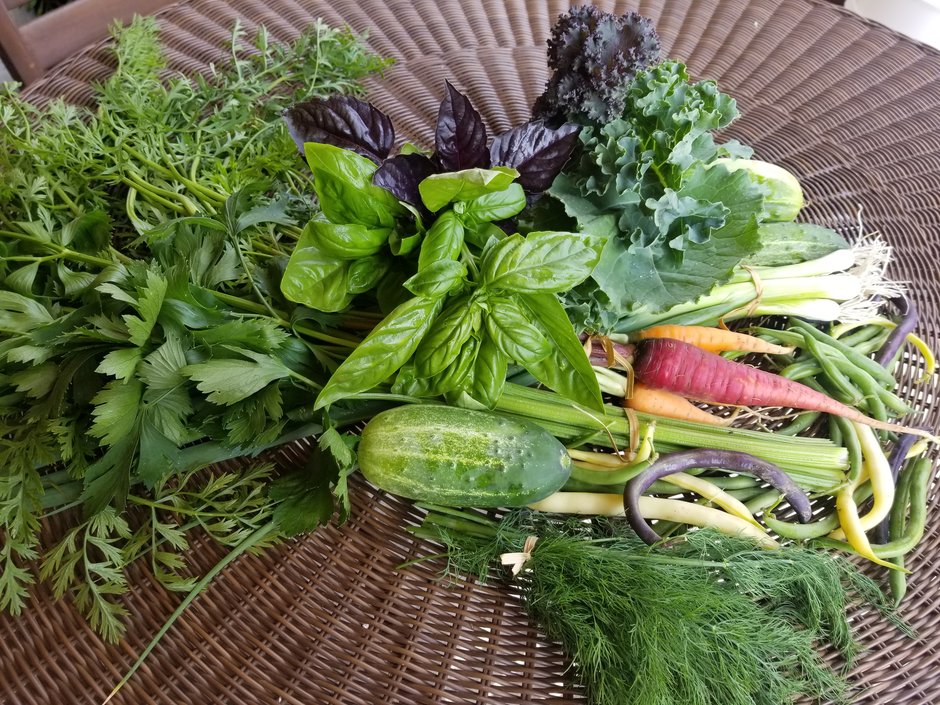 Vegatables in a basket