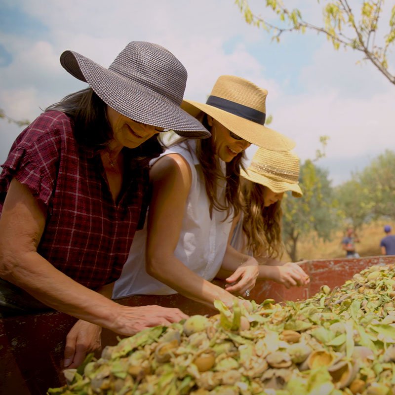 Founders Amelia Kirchoff, Jola Sonkin, and daughter Mila picking through almonds