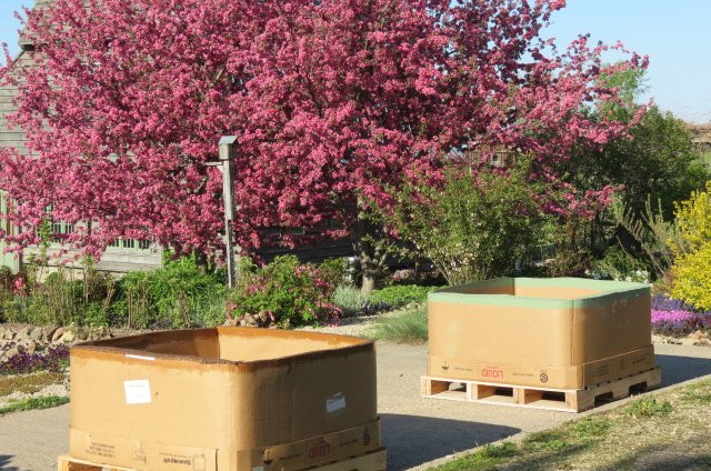 Green Planters Full Of Vegetables and Herbs