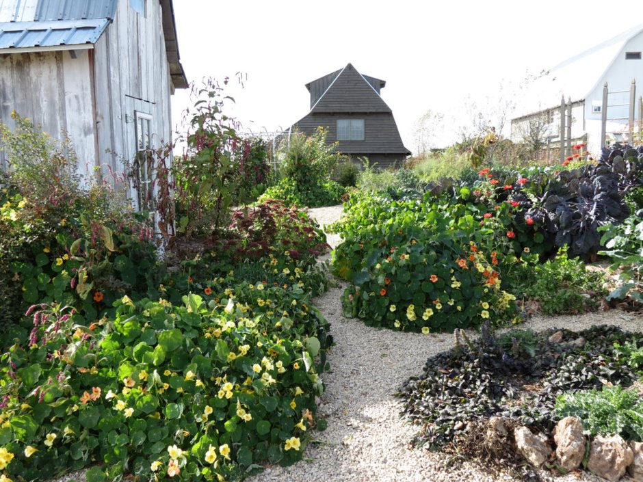 Vegetable garden
