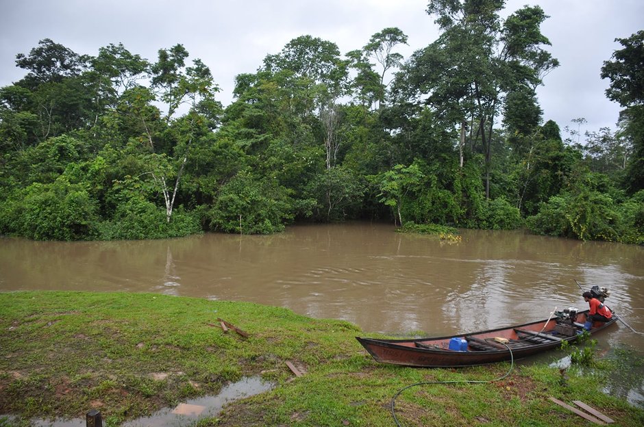 Boat on a river in the rainforest