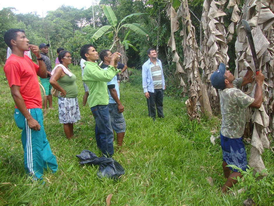 People in rainforest