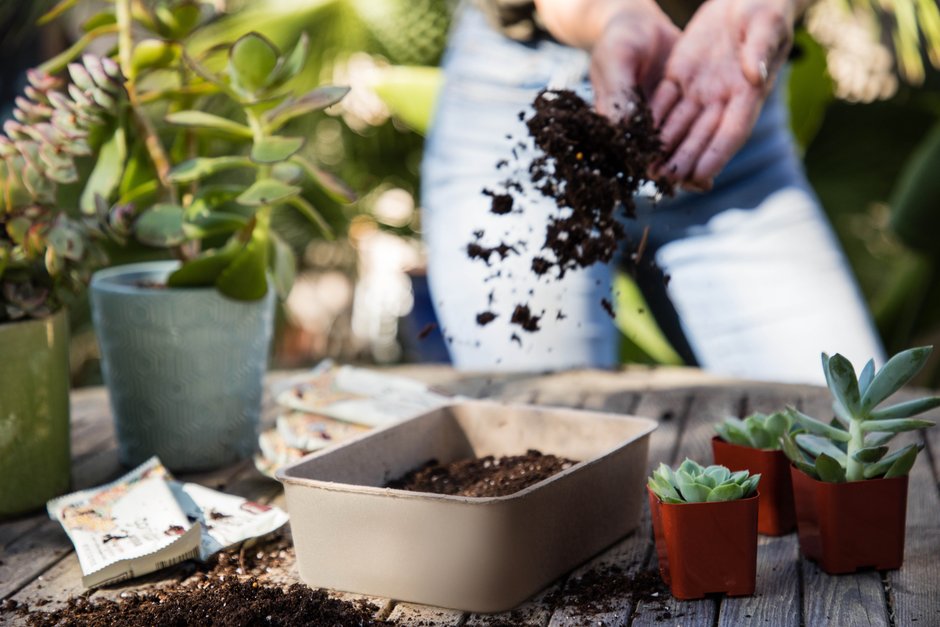 GoMacro compostable packaging being used as a planter