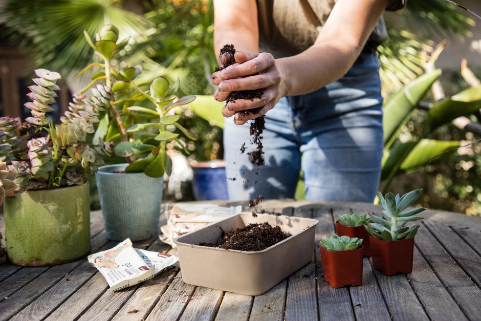 GoMacro compostable packaging being used as a planter