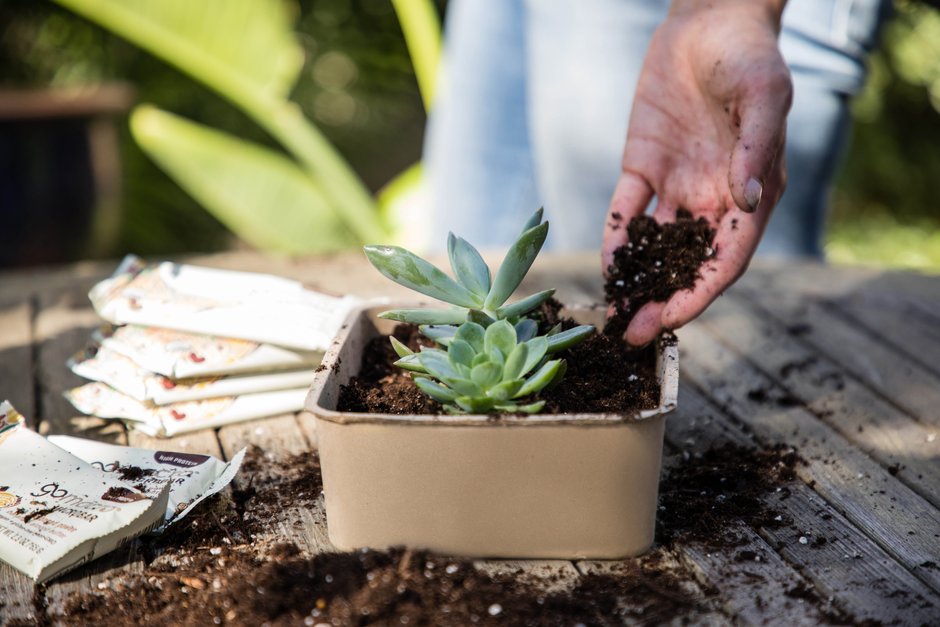 GoMacro compostable packaging being used as a planter