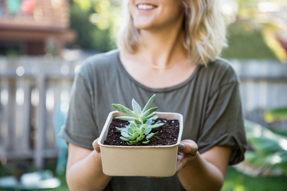 GoMacro compostable packaging being used as a planter