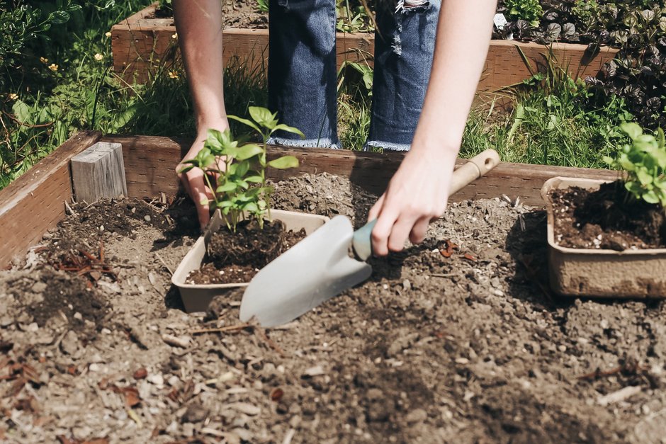 GoMacro compostable packaging being used as a planter