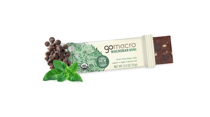 Mint Chocolate Chip Mini