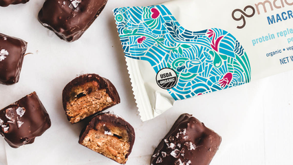 Dark chocolate bites made with GoMacro peanut butter bar
