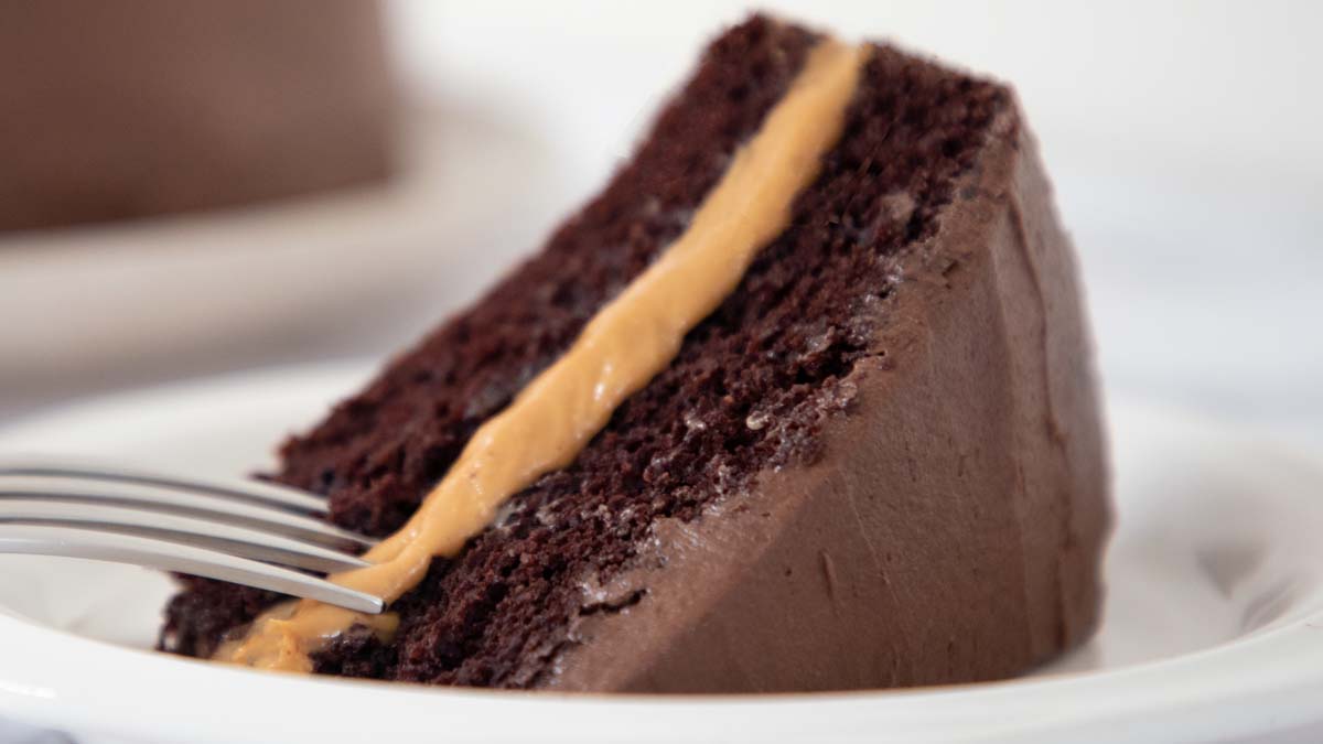 A slice of chocolate cake