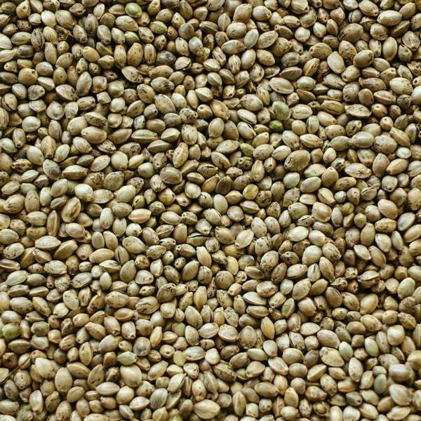 Go-To Grains for the Gluten Free Diet