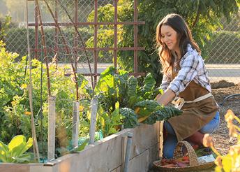 The Benefits of a Plant-Based Diet