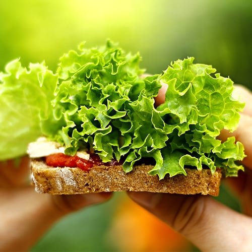 How to Go Vegan: Vegan Tips for World Vegan Day