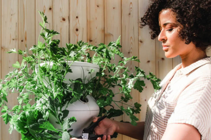 Woman next to tower garden
