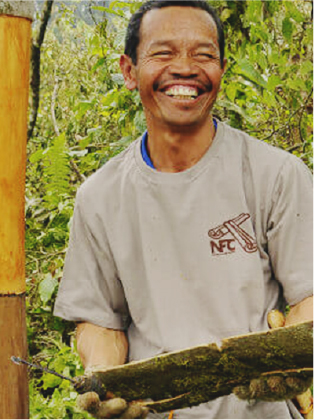 Man holding cinnamon plant