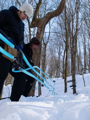 Maple Valley Cooperative working in snow