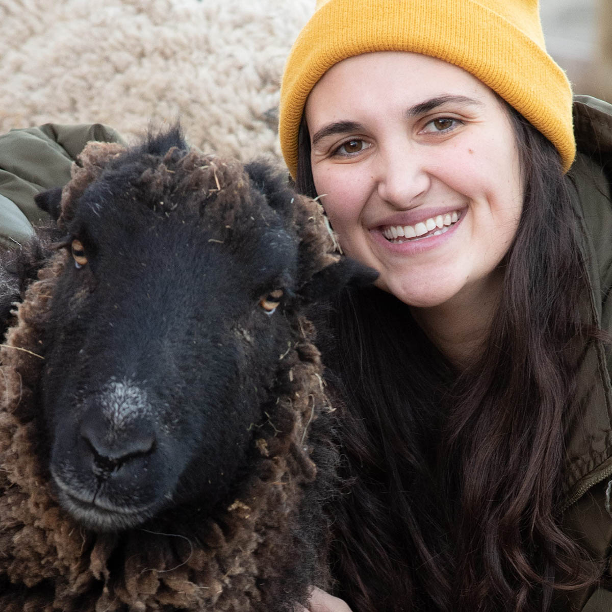 Woman smiling next to a black sheep