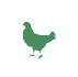 Chicken icon